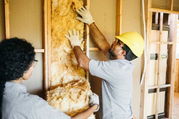 Best Cellulose Insulation  in Granbury, TX