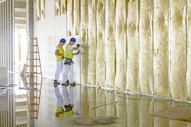 Best Professional Insulation Contractor  in Granbury, TX